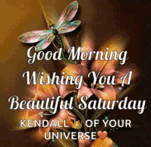 Good Morning Happy Saturday Dragonfly Universe GIF