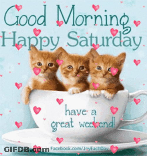 Good Morning Happy Saturday Great Weekend GIF