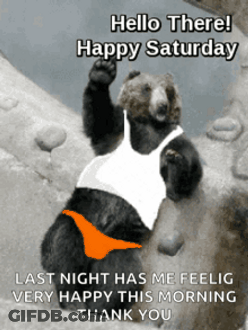 Good Morning Happy Saturday Hello There Bear GIF