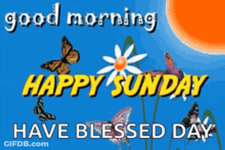Good Morning Happy Sunday Blessings Blessed Day GIF