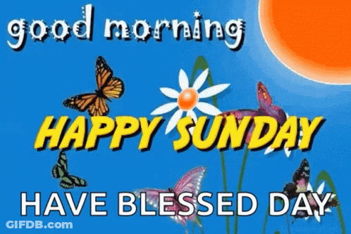 Good Morning Happy Sunday Card With Butterflies Flower GIF