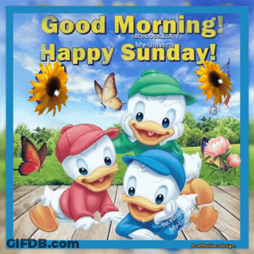 Good Morning Happy Sunday Donald Duck GIF