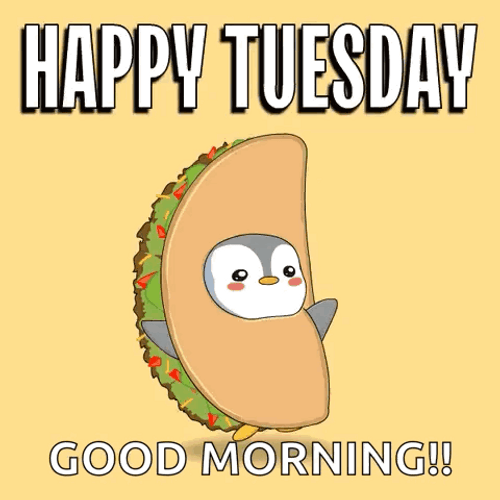 Good Morning Happy Taco Tuesday Pudgy Penguin GIF
