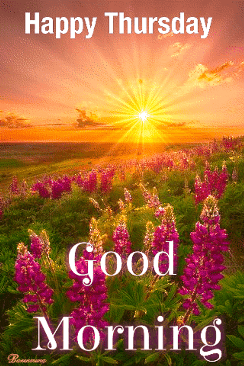 Good Morning Happy Thursday Beautiful Sunrise Garden GIF