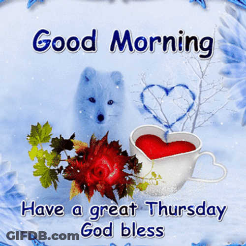 Good Morning Happy Thursday White Wolf Great Day GIF