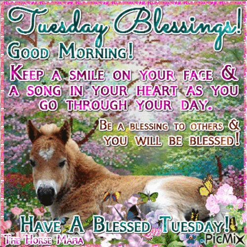 Good Morning Happy Tuesday Animals Nature Greetings GIF