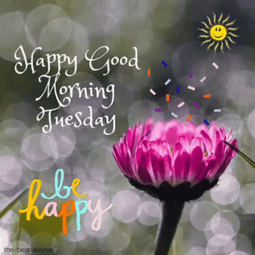 Good Morning Happy Tuesday Be Happy Daisy GIF
