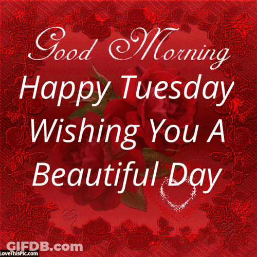 Good Morning Happy Tuesday Beautiful Day Heart Love GIF