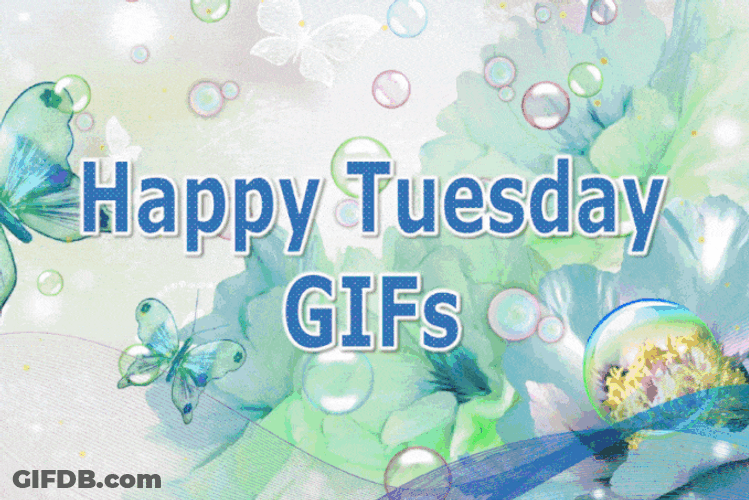 Good Morning Happy Tuesday Bubbles Butterflies GIF