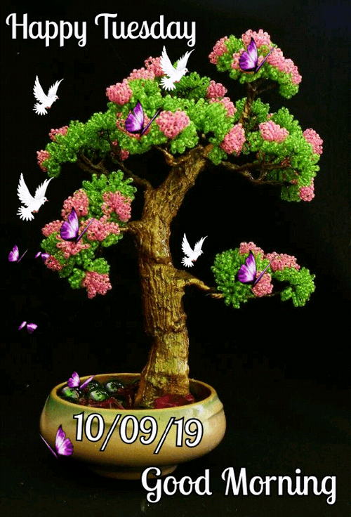 Good Morning Happy Tuesday Butterflies Birds Flying GIF