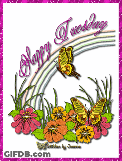 Good Morning Happy Tuesday Butterflies Flowers Greetings GIF