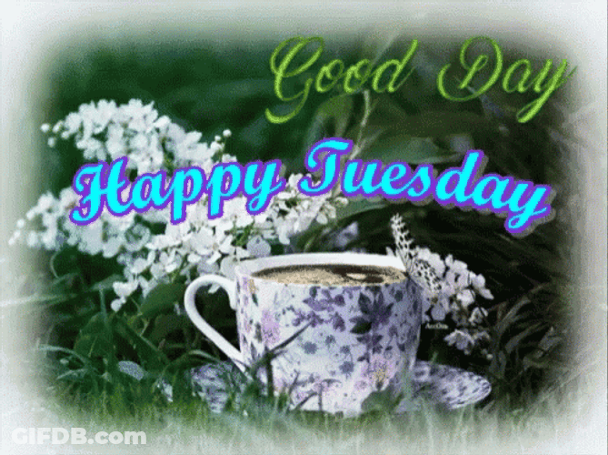 Good Morning Happy Tuesday Butterfly Cup GIF