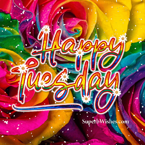 Good Morning Happy Tuesday Colorful Flowers Glitter GIF