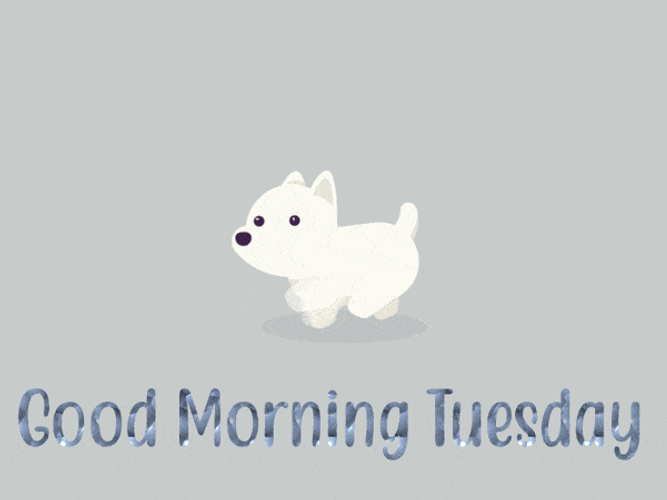 Good Morning Happy Tuesday Cute Puppy Jumping GIF