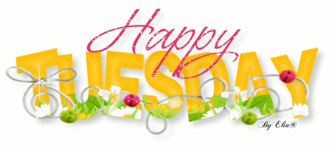 Good Morning Happy Tuesday Floral Greetings GIF