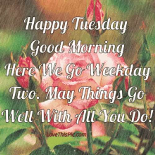 Good Morning Happy Tuesday Flowers Raining GIF