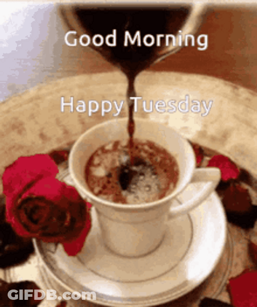 Good Morning Happy Tuesday Hot Coffee Rose GIF