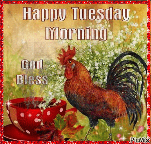 Good Morning Happy Tuesday Rooster Sparkling Greeting GIF