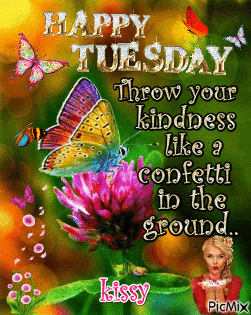 Good Morning Happy Tuesday Throw Your Kindness GIF