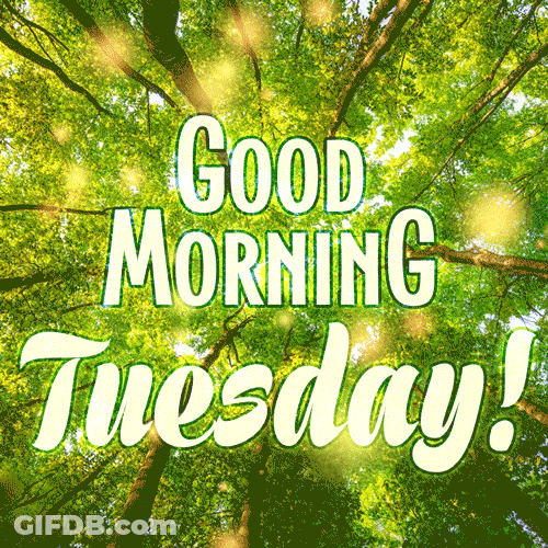 Good Morning Happy Tuesday Trees And Nature GIF