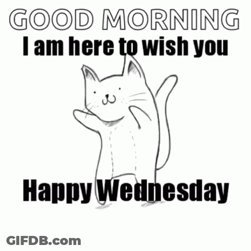 Good Morning Happy Wednesday Cat Cheer Dancing GIF