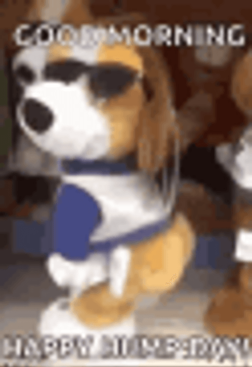 Good Morning Happy Wednesday Dog Twerk Cool GIF