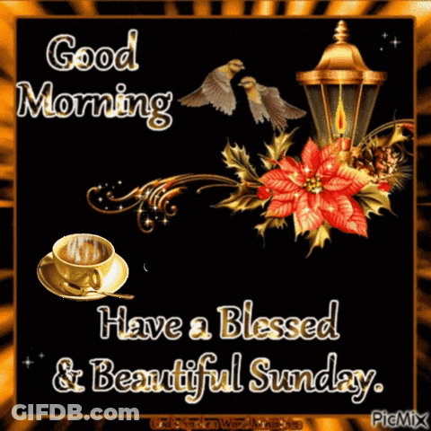 Good Morning Have A Blessed And Beautiful Sunday GIF