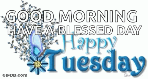 Good Morning Have A Blessed Day Happy Tuesday GIF