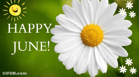 Good Morning Have A Blessed Day Woman In Field Of Flowers GIF