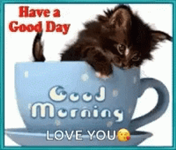 Good Morning Have A Good Day Love You Cat In A Cup GIF