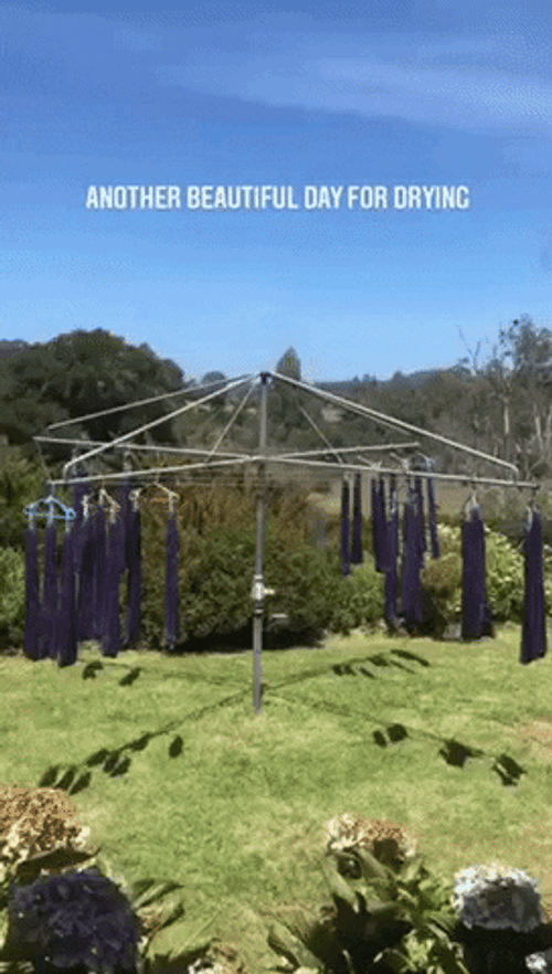 Good Morning Have A Great Day For Drying GIF