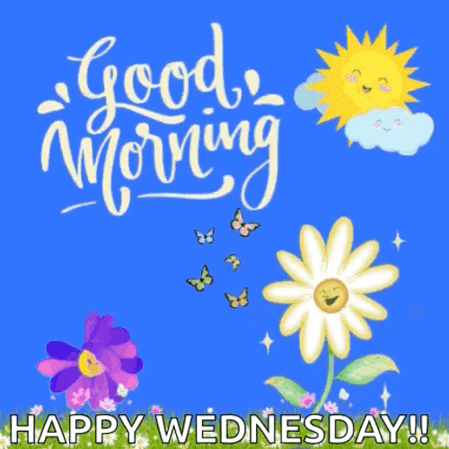 Good Morning Have A Great Day Good Morning Images New 2025 GIF