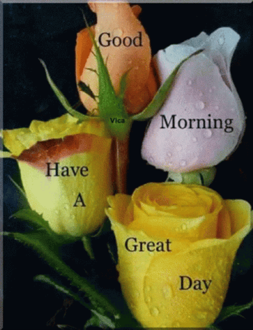 Good Morning Have A Great Day Sparkling Roses GIF