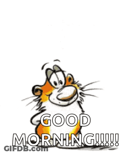 Good Morning Have A Great Day GIF