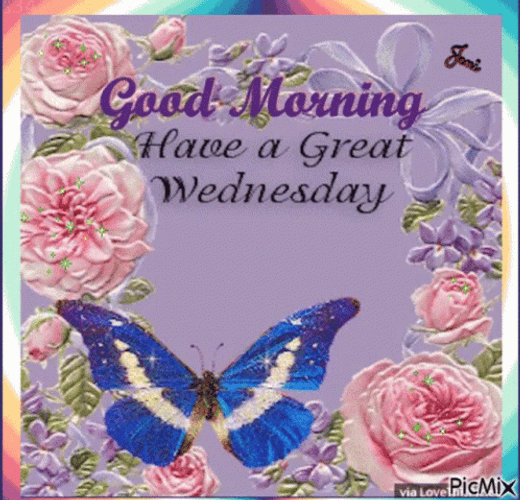 Good Morning Have A Great Wednesday Butterfly Blue Rainbow Reflection GIF