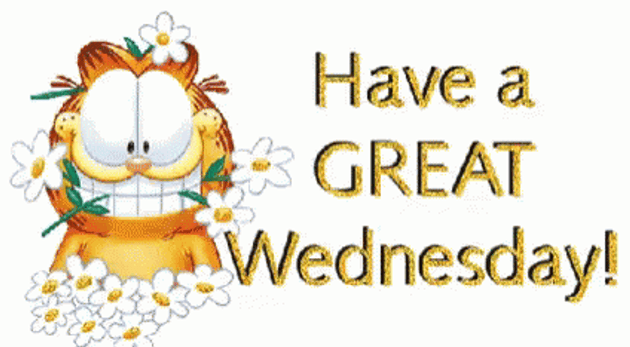 Good Morning Have A Great Wednesday Garfield Flowers Lovely GIF