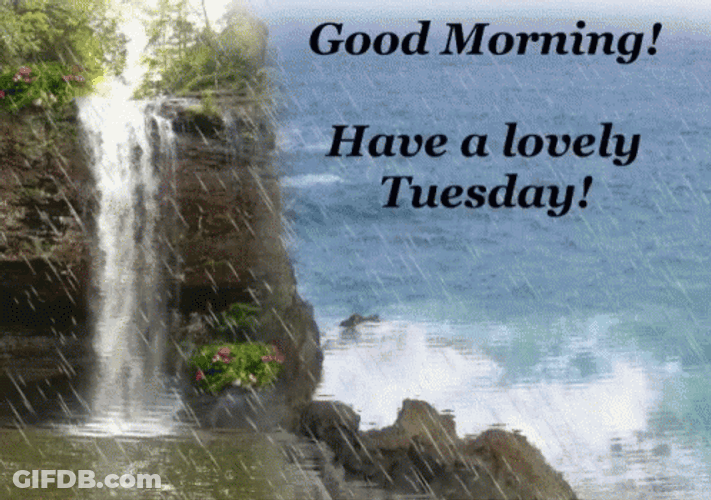 Good Morning Have A Lovely Tuesday GIF