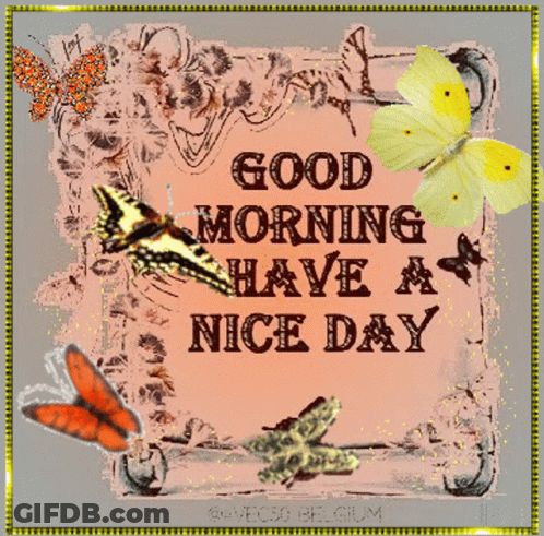 Good Morning Have A Nice Day Card With Butterflies GIF