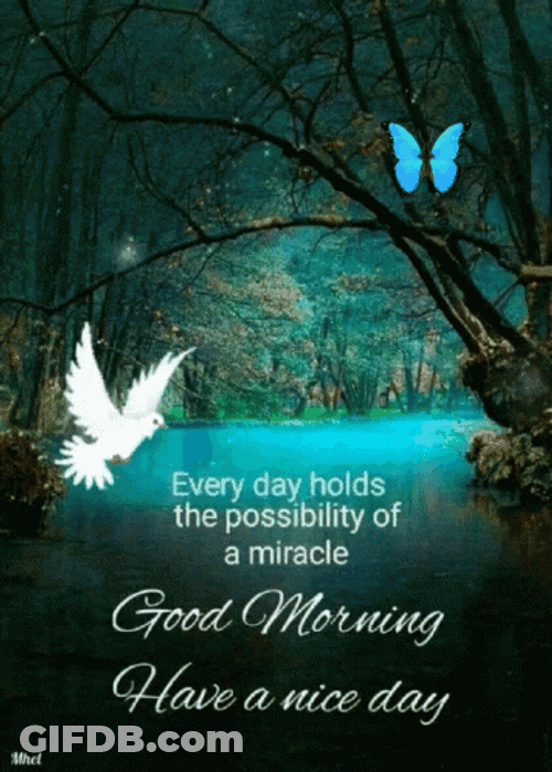 Good Morning Have A Nice Day Inspirational Text GIF