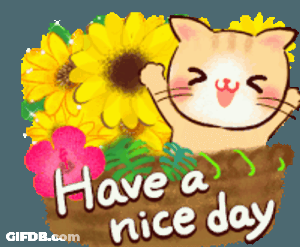 Good Morning Have A Nice Day Sticker GIF