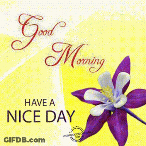 Good Morning Have A Nice Dayआपकादिनशुभहो GIF