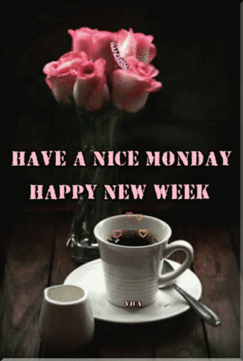Good Morning Have A Nice Monday Happy New Week GIF