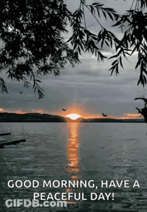Good Morning Have A Peaceful Day GIF