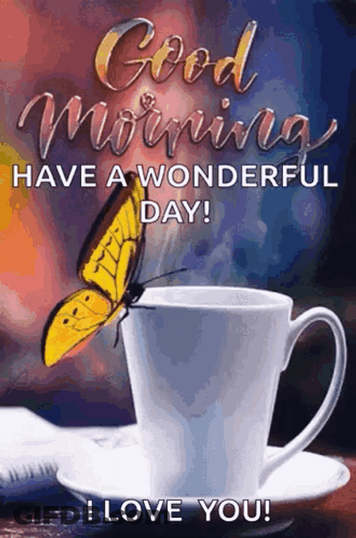 Good Morning Have A Wonderful Day GIF