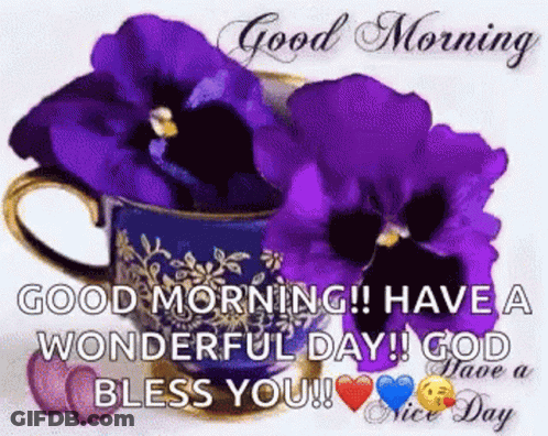 Good Morning Have A Wonderful Day GIF