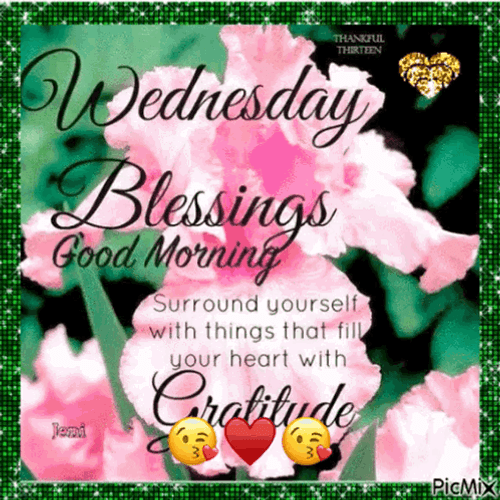 Good Morning Have Gratitude It's Wednesday GIF