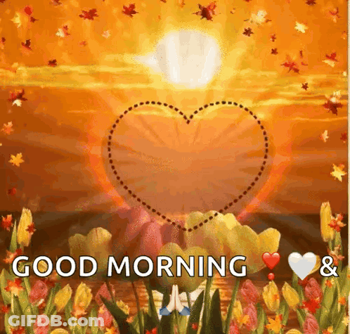 Good Morning Heart In Flower Field GIF