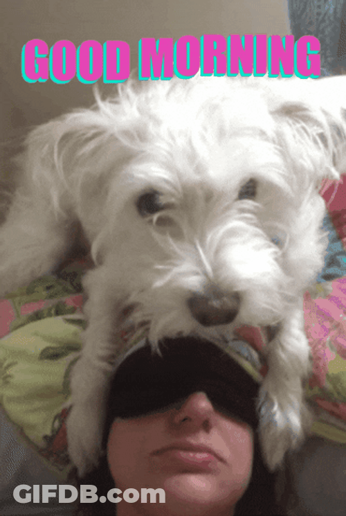 Good Morning Hug Dog Kiss GIF