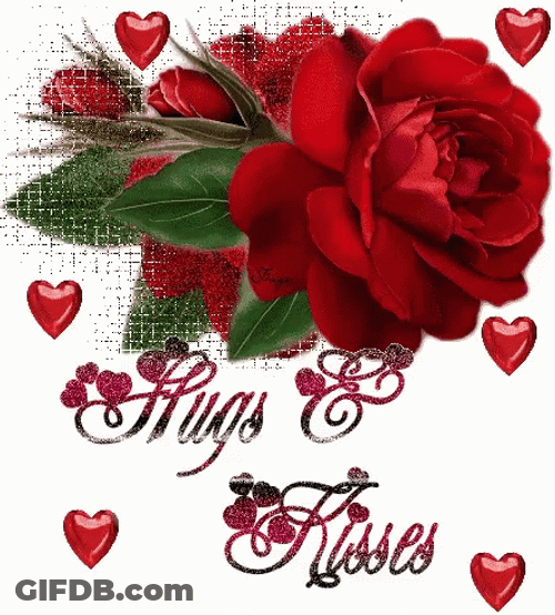 Good Morning Hugs And Kisses Red Roses GIF