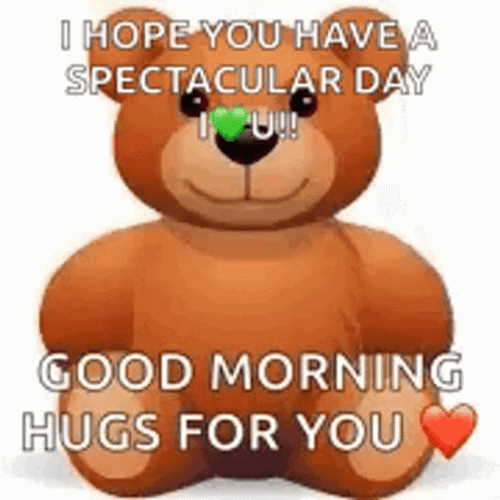Good Morning Hugs For You Bear GIF